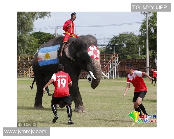 当今足球界最具人气与实力的球星是谁他如何在绿茵场上征服世界